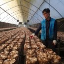 배은농장 | (청년기획단5기) 얼장의 식구, 자야농장을 방문하다!