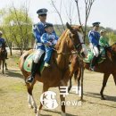이동희농장 국민일보