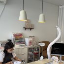 네일오브라 이미지