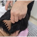 미소바디케어 이미지