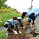 한국종합안전교육사회적협동조합 화이트페이퍼