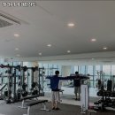 트레인하드 이미지