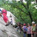 산림청 숲길체험지도자 자격증 이미지