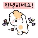 바칼로레아영수학원