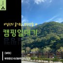 [캠핑] 비일상의 슬기로운 캠핑 생활 #1 / 부여 외산수리바위캠핑정원