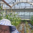 한백농장 이미지