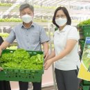 하나로어린이집 이미지