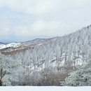 설화목장 이미지