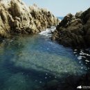 봉길대왕암(문무대왕릉) 이미지