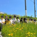 숲속리더유치원 이미지