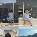 힐조인광안 이미지