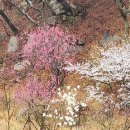 마키아벨리<군주론> | <마키아벨리 리더십 과정 후기>
