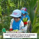 승안동마을 네이버블로그
