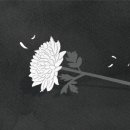 법무사김정기