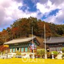 광덕사 일대 이미지