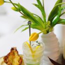 까사데까르네 이미지