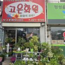 남양꽃집현대꽃화원 | 청대꽃집 추천! 청주대학교 근처 착한가격 꽃다발 후기