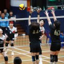 진안마이산(익산) 이미지