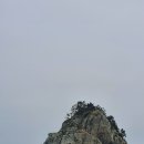 오륙도상회