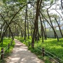 밀양시립도서관 화장실 이미지