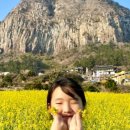 (주)나무투어