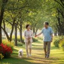 영어(초급A) 이미지