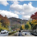 금월봉석갈비 | 제천 석갈비 처음먹어보는 신세계!