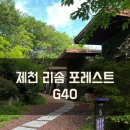 &lt;제천&gt; 리솜 포레스트 숲속힐링숙소 빌라형 G40 후기 체크인팁