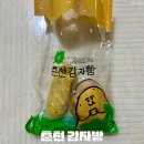 감자밭 | 감자빵으로 유명한 춘천 대형 카페 감자밭 내돈내산 후기