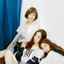 청춘시대 이미지