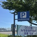 펫 노리터 | [다대포] 꽃길만걷개 : 실내 놀이방 테라스가 있는 수제간식전문 부산애견카페