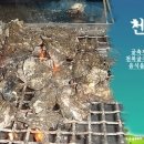 천북4 이미지