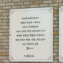 고기냉면 을화옥 | [천안] 내돈내산 냉면맛집 구룡동맛집 ‘고기냉면 을화옥 천안점‘ 추천 후기✨