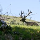 맘모스타워 이미지