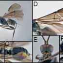 (주)제주모바일 이미지