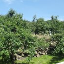 송산보건진료소 이미지