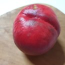 경봉마트 이미지