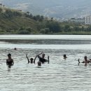 호수민박 이미지