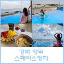 스페이스 풀빌라 | 경북 영덕 오션뷰 풀빌라 스페이스영덕(애견동반, 카라반, 매점)