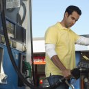 월드자동차서비스 이미지