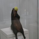 종점상회 이미지