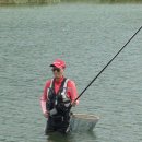 황금낚시 이미지