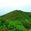 산천초목 이미지