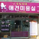 순도리네애견 이미지