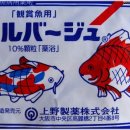 바쥬2 이미지