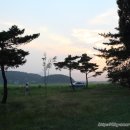[경주 역사 기행] 경주 진평왕릉과 전홍유후설총묘, 그리고 보문들
