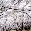 가산산성야영장 이미지