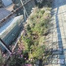 구립작전어린이집 이미지