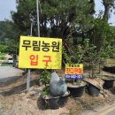 동남조경건설 이미지