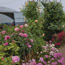 비엔베뉴 이미지